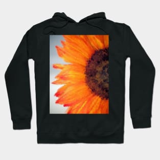 Sunburst Hoodie